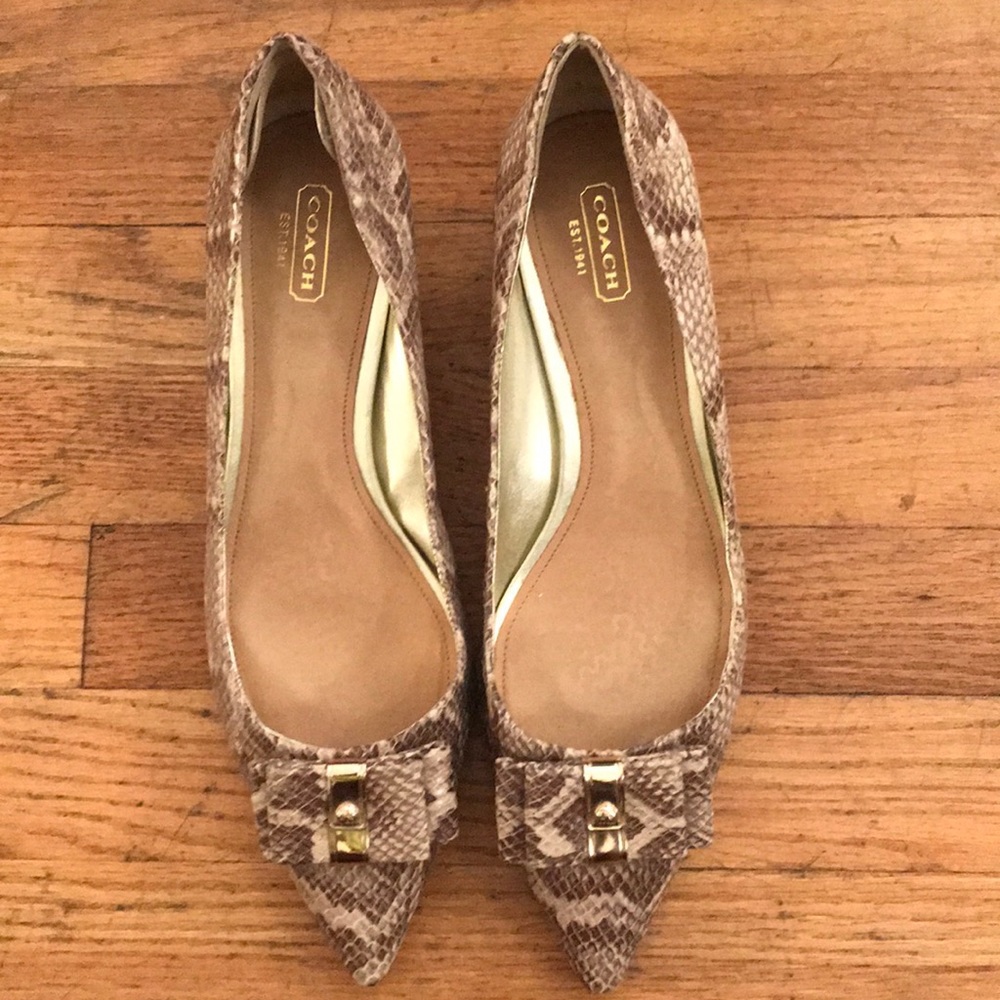Size 9 1/2 Coach snakeskin leather pumps.